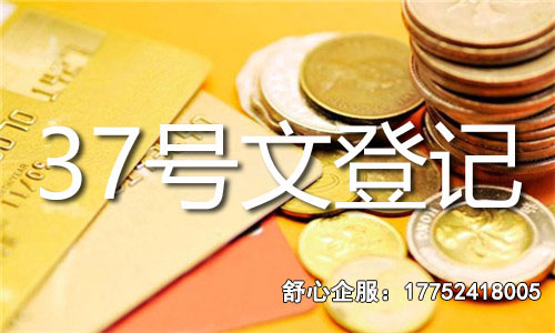 37號(hào)文備案登記